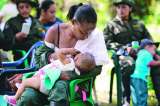 Hubo menos abortos involuntarios durante cese al fuego con las Farc