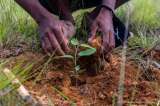 La naturaleza es un eje central para la paz de Colombia, ¿por qué?