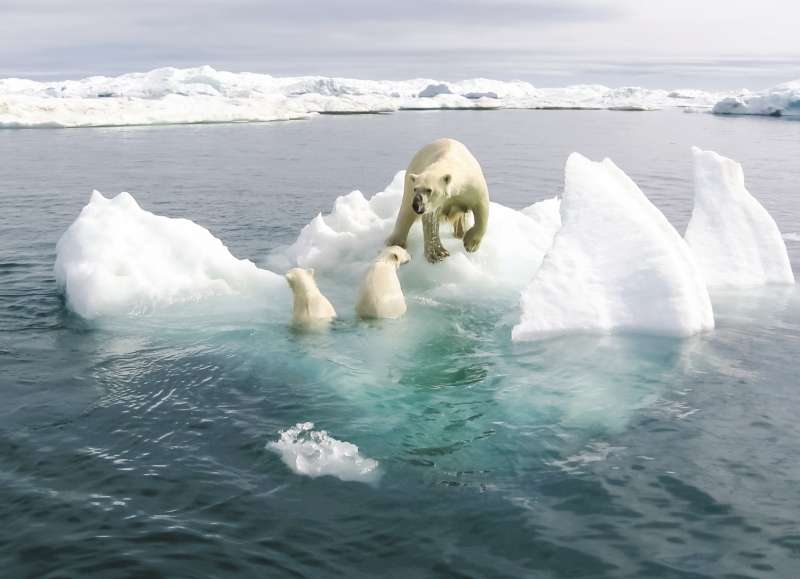 El bajo nivel de hielo marino que ha alcanzado récords y las olas de calor extremas que superan los 40 °C, son dos de los impactos del cambio climático que resaltan los investigadores. / AFP.