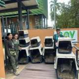 Más de 870 animales silvestres fueron atendidos en Tocaima durante 2025