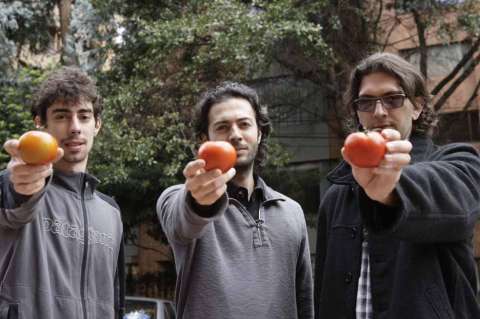 ¿Crisis en el Partido del Tomate?