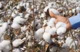 Moda, ¿materia prima de la esclavitud moderna?