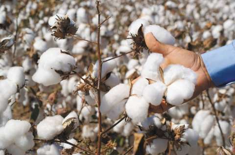 Moda, ¿materia prima de la esclavitud moderna?