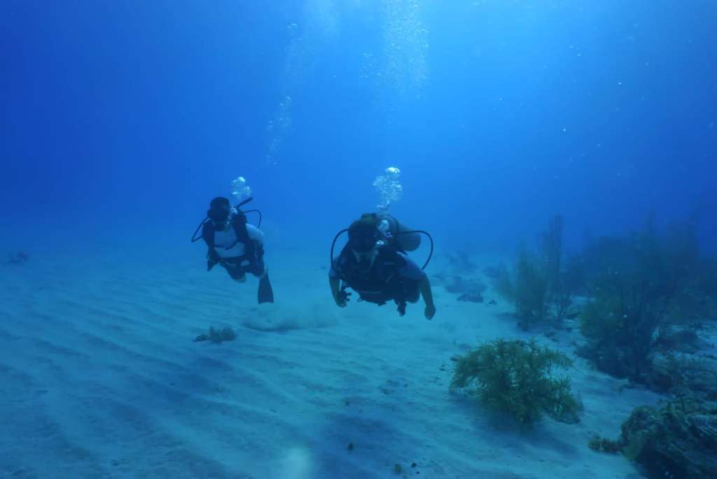 El Parque Nacional Tayrona, donde arrecifes multicolores y peces tropicales te esperan en aguas cristalinas. Taganga, en Santa Marta, ofrece una experiencia más aventurera con inmersiones en naufragios y cuevas submarinas.