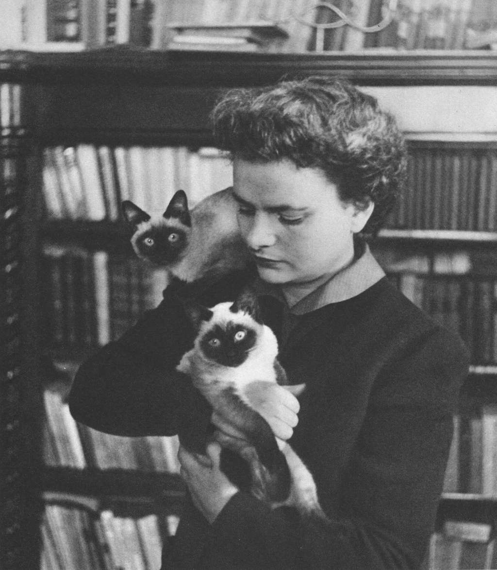 Elsa Morante publicó más de 15 libros, entre los cuales hay novelas, ensayos y poemas.