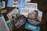Ñoquis, pingüinos y gorilas, diccionario para entender la política en Argentina