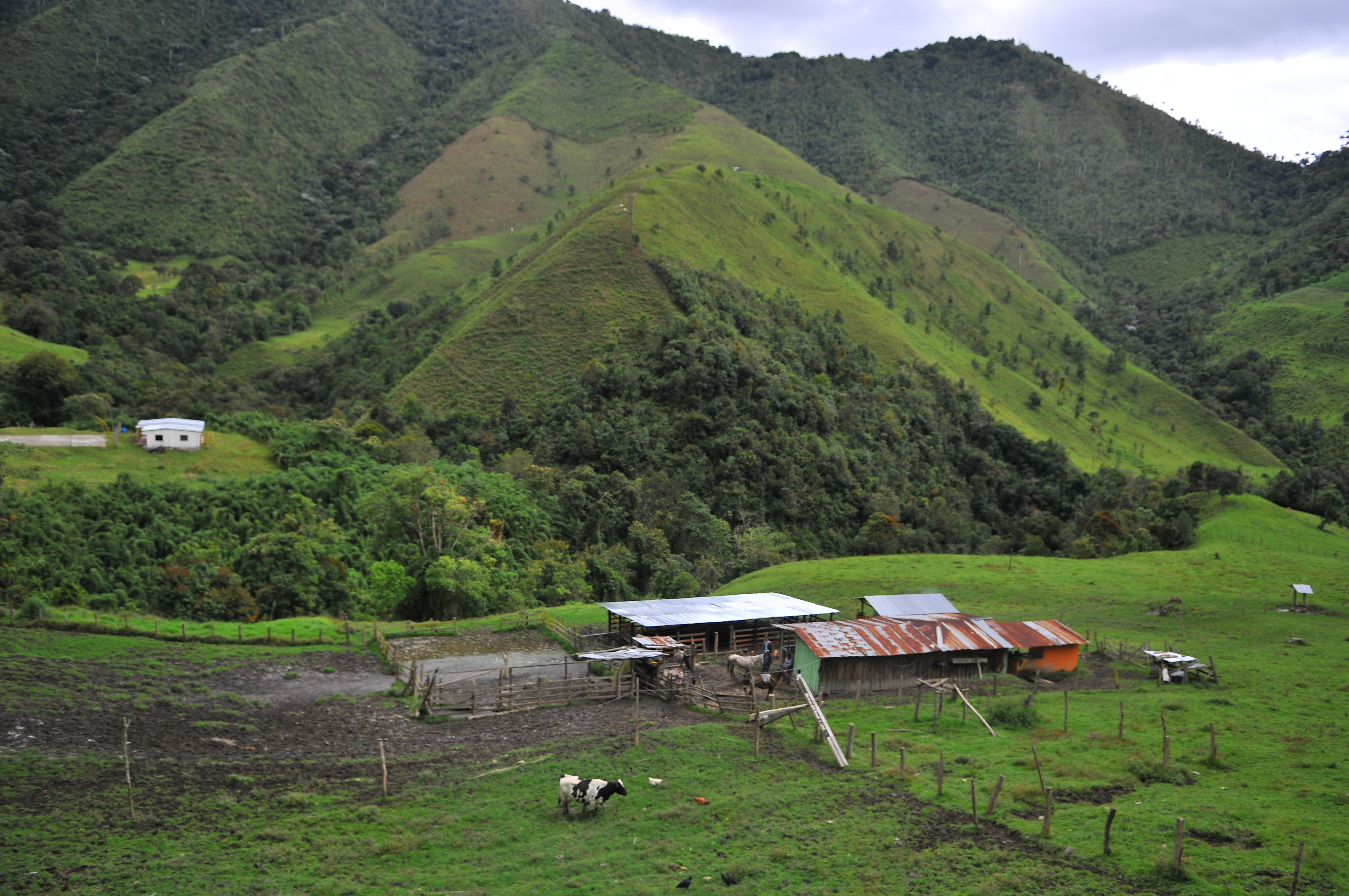 Imagen de agricultura en Colombia.