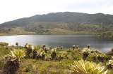 Parques naturales: ¿para conservación o generación de divisas?