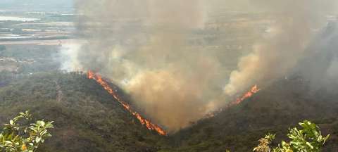 Por incendios forestales evacúan a habitantes de área rural en Palermo, en Huila