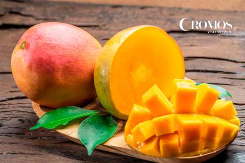 ¿Comer mango todos los días es malo? Conoce algunos beneficios de esta fruta