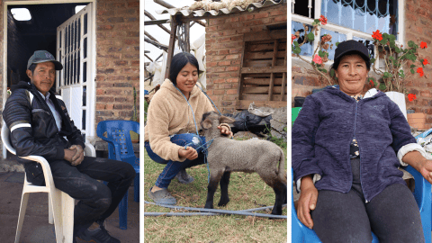 Siembra marchita: el nuevo reto para la ruralidad