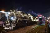 Recorrido navideño Tren de la Sabana 2025: horarios, paradas especiales y cupos limitados