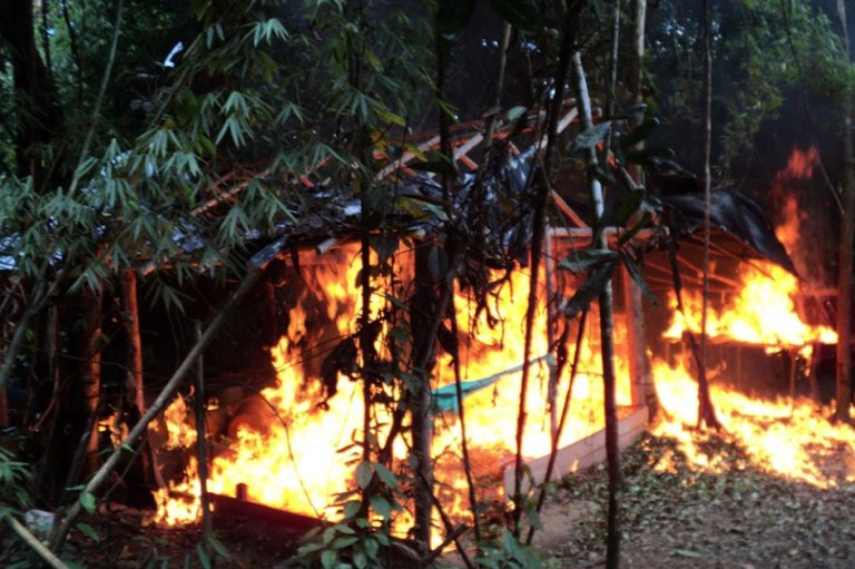 Destruyen 11 ‘narco’ laboratorios de las Farc y ELN