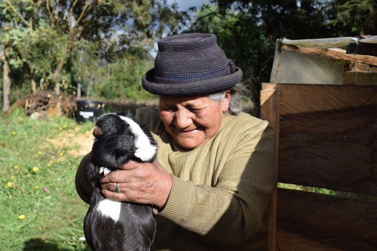 La Amazonía y su futuro: la visión de una bioeconomía inclusiva