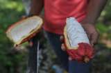 Colombia fue clasificada con un riesgo “estándar” de deforestación por la UE: ¿Qué implica?