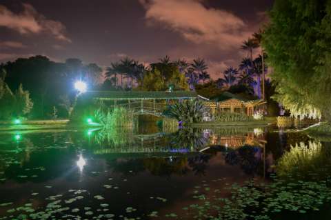 Prográmese para las actividades nocturnas del Jardín Botánico de Bogotá