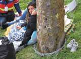 Cupos educativos vs. medioambiente: el choque contra un colegio público en Kennedy