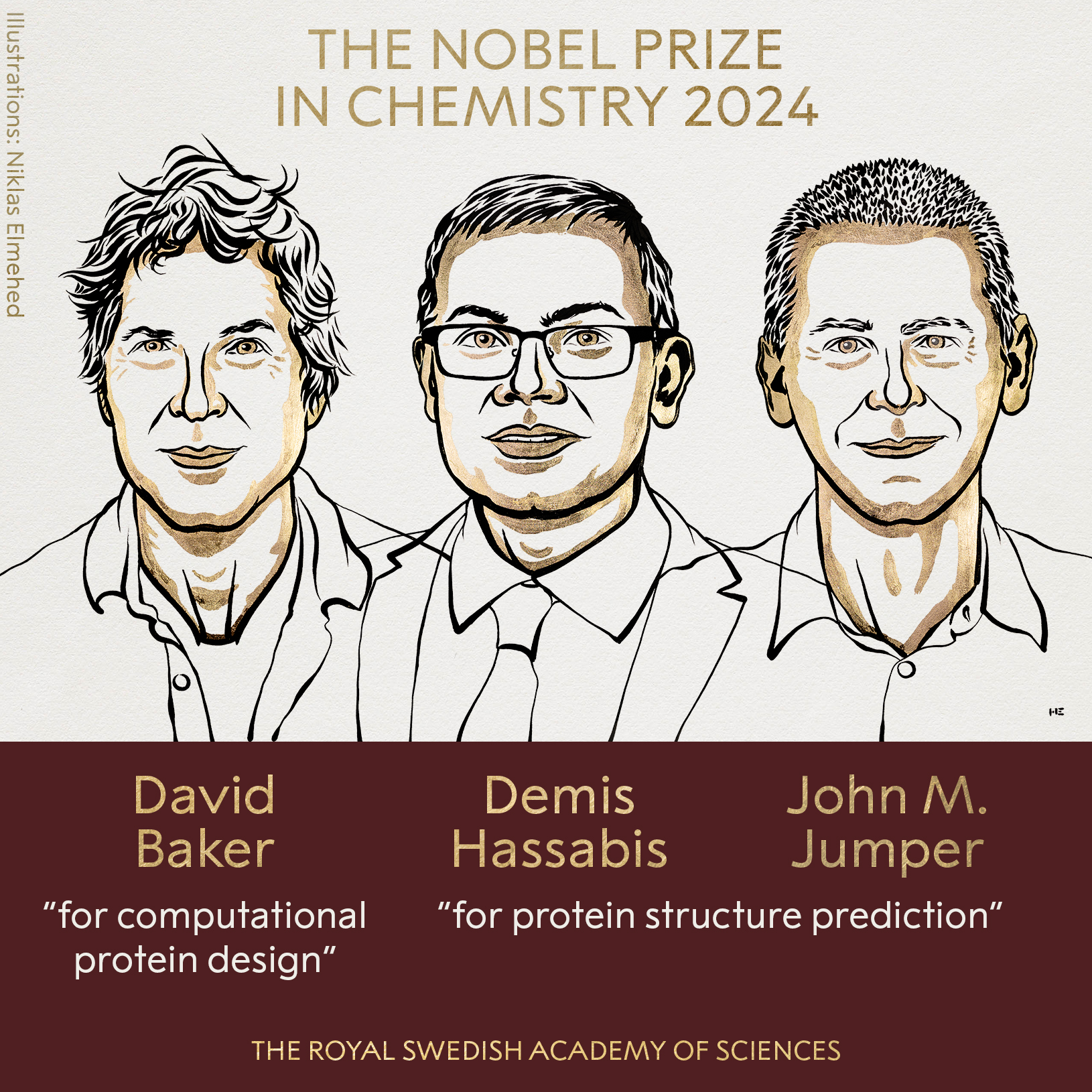 La Real Academia Sueca de Ciencias ha decidido otorgar el premio Nobel en Química con la mitad a David Baker “por el diseño computacional de proteínas” y la otra mitad conjuntamente a Demis Hassabis y John M. Jumper “por la predicción de la estructura de proteínas”.