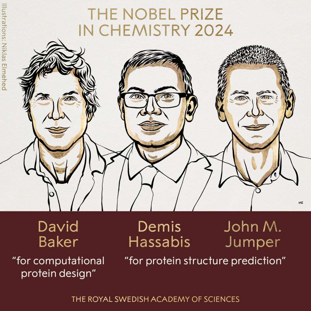 La Real Academia Sueca de Ciencias ha decidido otorgar el premio Nobel en Química con la mitad a David Baker “por el diseño computacional de proteínas” y la otra mitad conjuntamente a Demis Hassabis y John M. Jumper “por la predicción de la estructura de proteínas”.