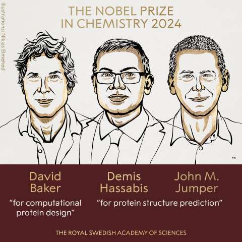 Nobel de Química 2024 a quienes descifraron el código de las proteínas humanas