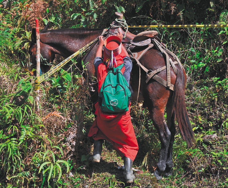 Resguardo indígena Jaidukamá
