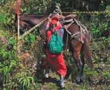 Lo que amenaza a la niñez indígena en Dabeiba (Antioquia)