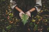 Sabor Barranquilla promueve la conciencia ambiental desde la gastronomía