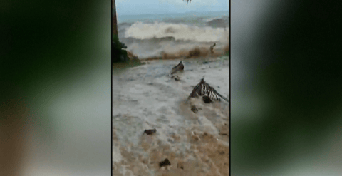 Así se vivió la erupción de un volcán submarino en Tonga