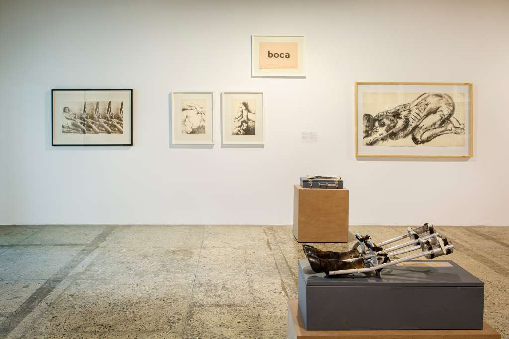 Algunas de las obras expuestas en el Museo de la Tertulia se centra en "cómo desclasificar la naturaleza del museo, partiendo del reconocimiento de sus orígenes problemáticos en relación con la naturaleza, las culturas no-occidentales y la divergencia sexual y política".