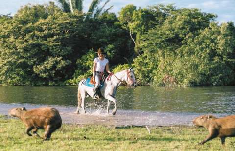 Gobierno busca incentivar la inversión en turismo para reactivar la economía
