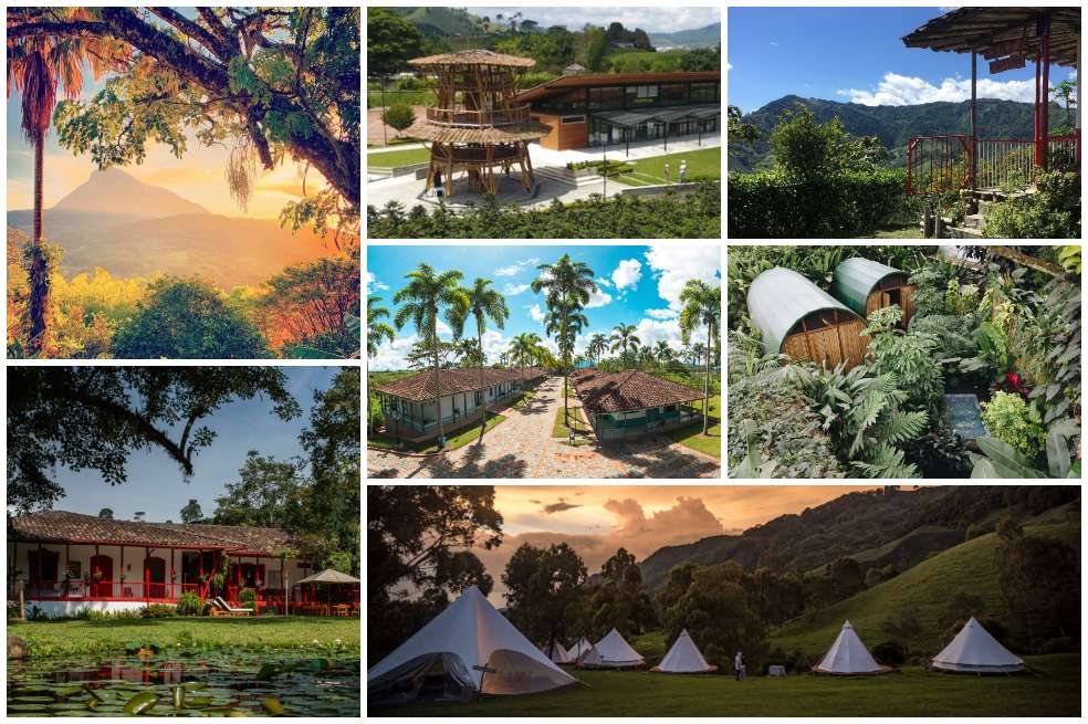 7 lugares para hospedarse en Colombia y disfrutar lo mejor del café.