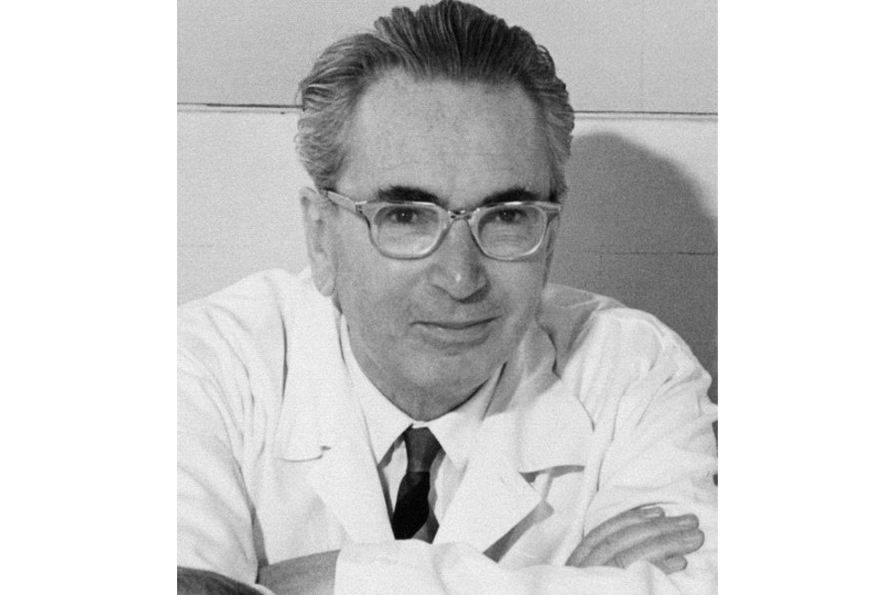 "El hombre en busca de sentido", de Viktor Frankl, narra cómo sobrevivir a la barbarie entendiendo que, en medio del sufrimiento, la vida es digna de ser vivida.