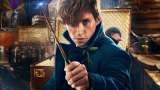 Se conocen más sorpresas del mundo mágico de Harry Potter y Animales Fantásticos 3