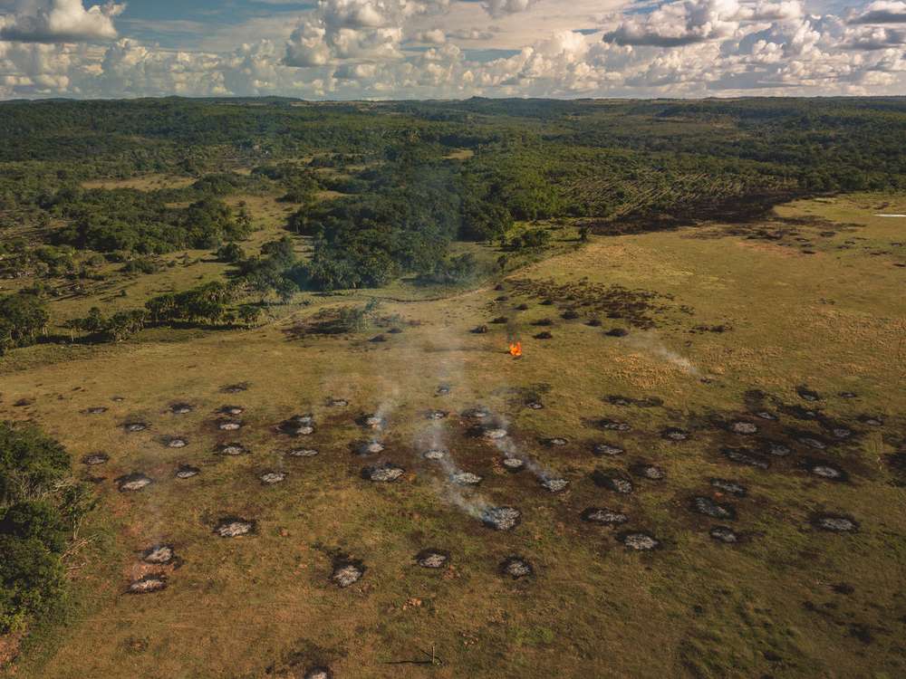 La expansión de la frontera agrícola, la tala ilegal y la degradación de hábitats naturales aumentan el riesgo de incendios forestales en los bosques.