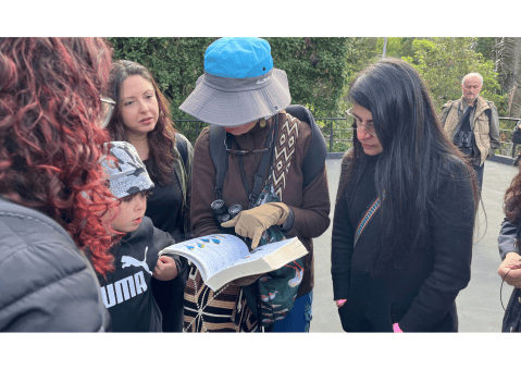 La COP16 impulsa el primer Festival de Aves en la Quinta de Bolívar