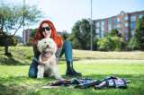 Se estrena iniciativa para ayudar a empresas relacionadas con el mundo de las mascotas