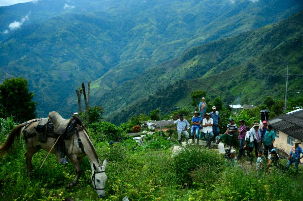 Briceño es quizás el único municipio donde se ha materializado con relativo éxito la sustitución voluntaria./ Archivo