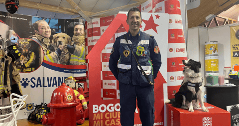 Un sticker salvará a su mascota: así es el programa de los bomberos de Bogotá
