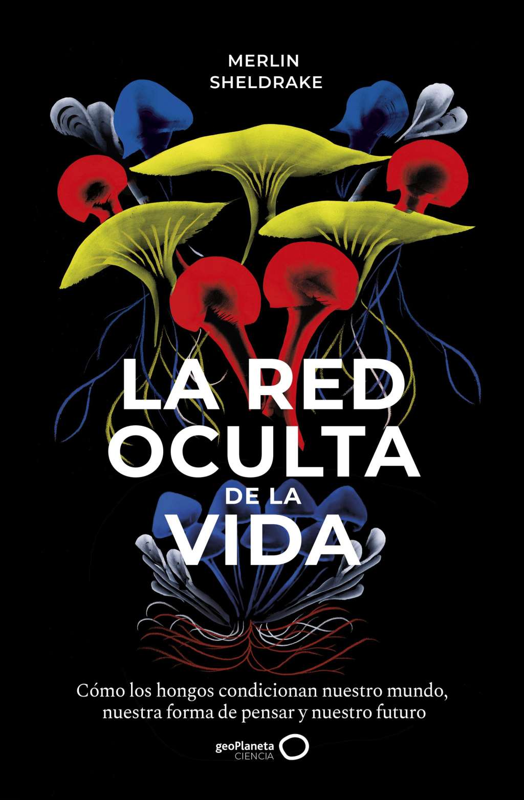Libro