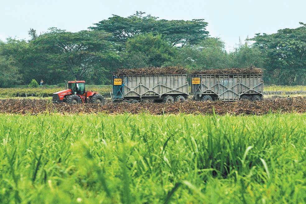 El trabajador llevaba 28 años en Incauca.  / David Campuzano