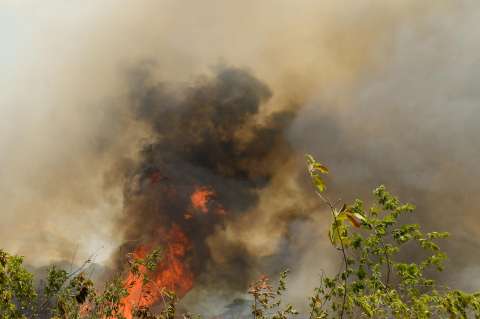 Incendios en Colombia: es hora de avanzar hacia un manejo integral del fuego