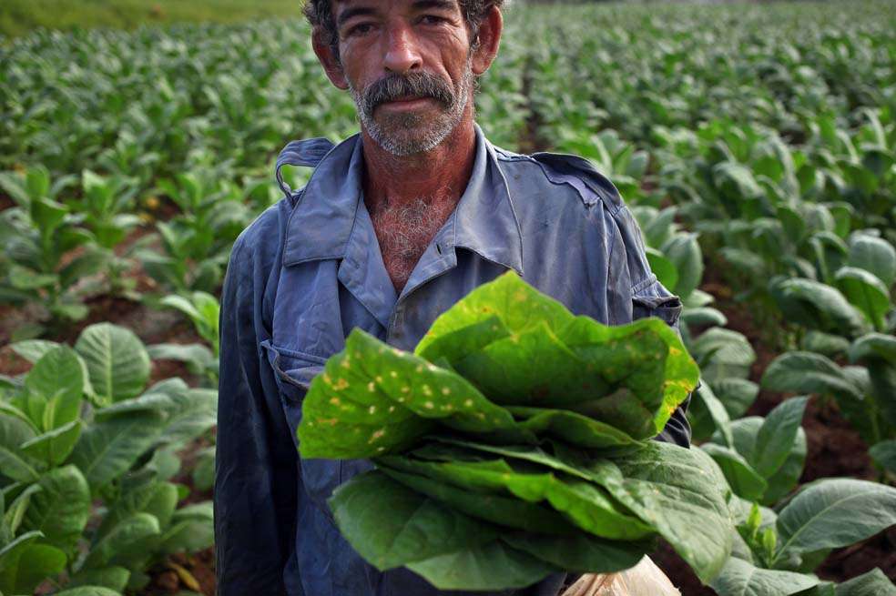 Regiones quieren atacar el consumo de cigarrillos. / Archivo - El Espectador