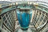 (VIDEO) Reventó el AquaDom, el mayor acuario cilíndrico del mundo, ¿qué pasó?