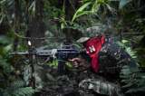 Cese del fuego del ELN impactaría en nueve departamentos del país