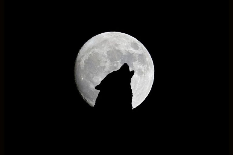 Luna llena de enero 2025 y su impacto en Sagitario, Capricornio, Acuario y Piscis