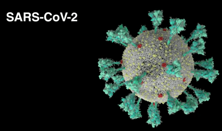 Un video animado muestra cómo entra el coronavirus al cuerpo
