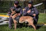 Kafir, la estrella de los perros que buscan desaparecidos