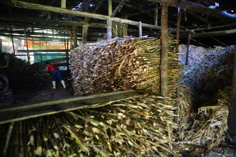 Economía circular para hacer más sostenibles departamentos del Caribe colombiano