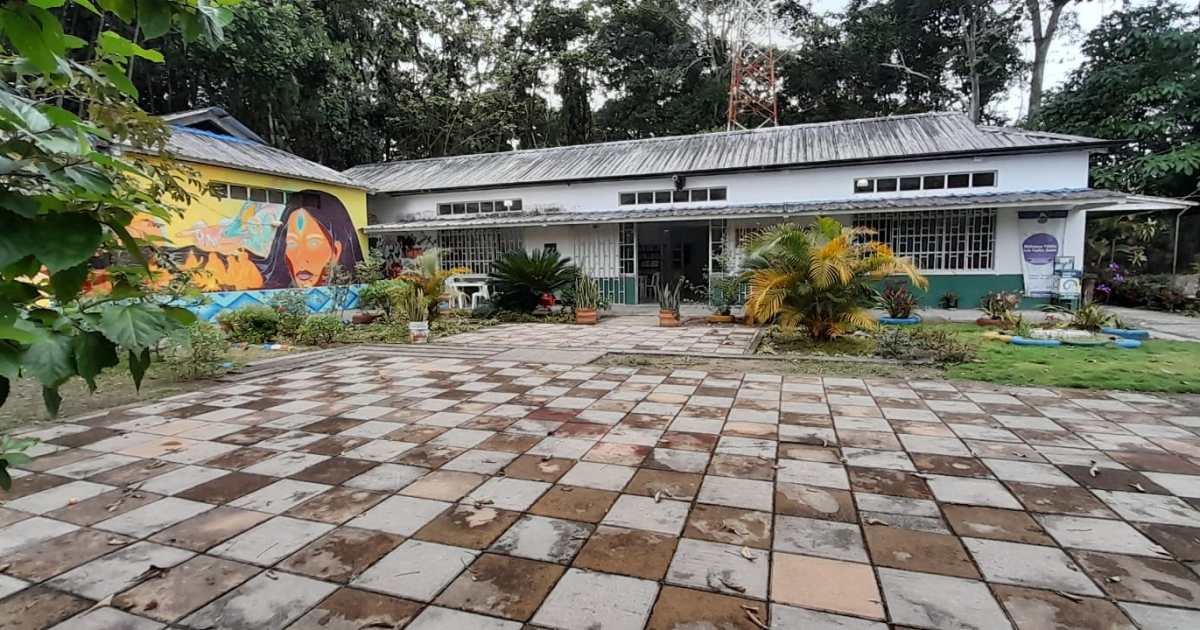 La historia de mujeres que transformaron sus territorios con bibliotecas rurales