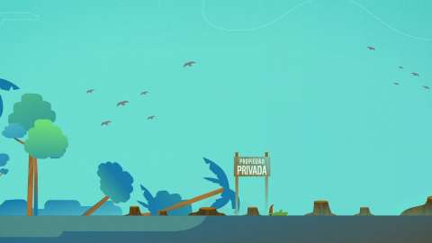 La apropiación de tierras y la corrupción están destruyendo a la Amazonía